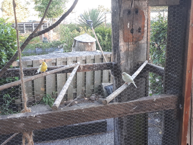 ../fotos/het_verlaat_2018/2018-07-31 19.59.05.jpg